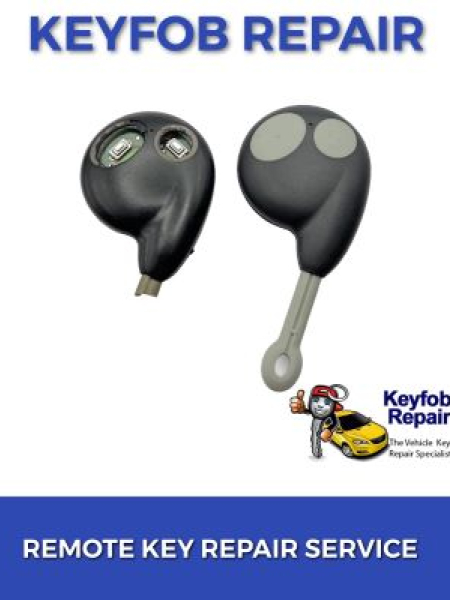 Cobra Alarm 2 Button Key Fob Repair Service